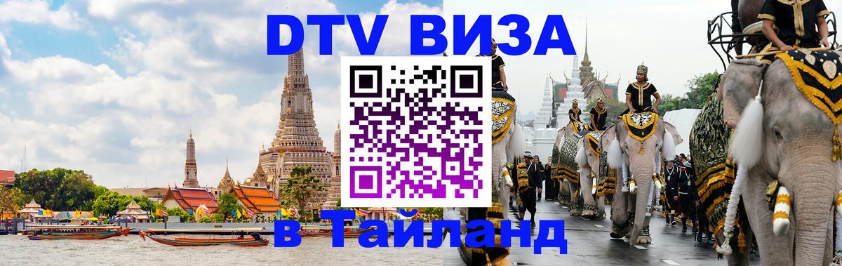 Оформление DTV визы под ключ: стоимость и тарифы, только загранпаспорт - 20.11.2025 